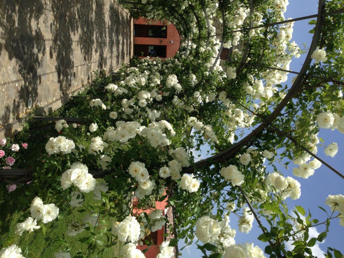 Agriturismo Casale Le Selvette Ripa Exteriör bild