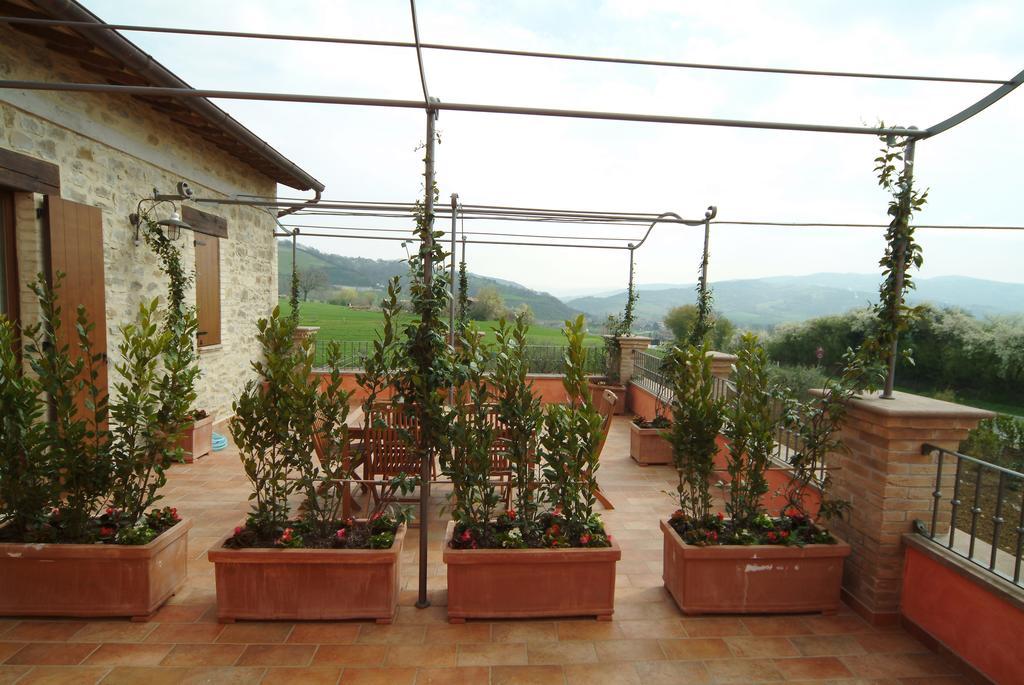 Agriturismo Casale Le Selvette Ripa Exteriör bild