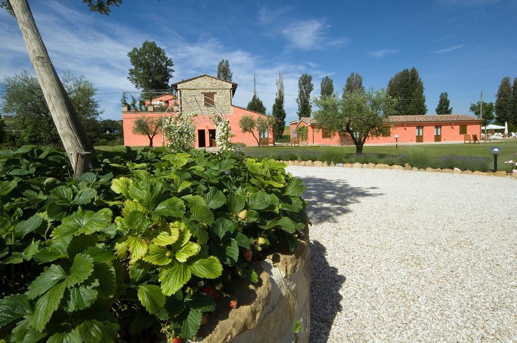 Agriturismo Casale Le Selvette Ripa Exteriör bild