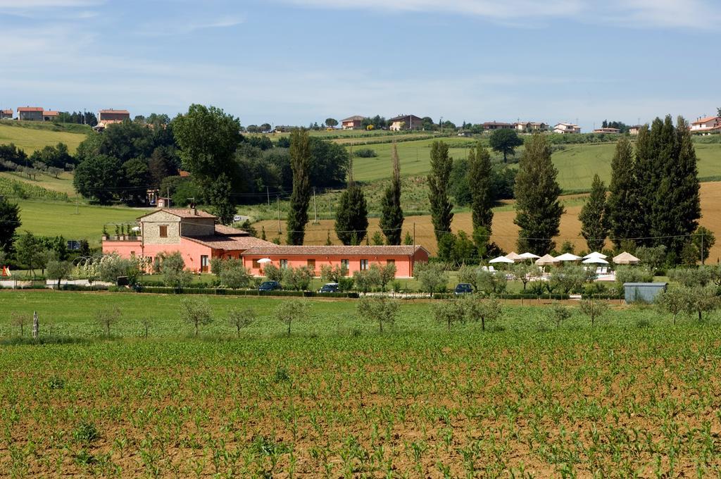 Agriturismo Casale Le Selvette Ripa Exteriör bild