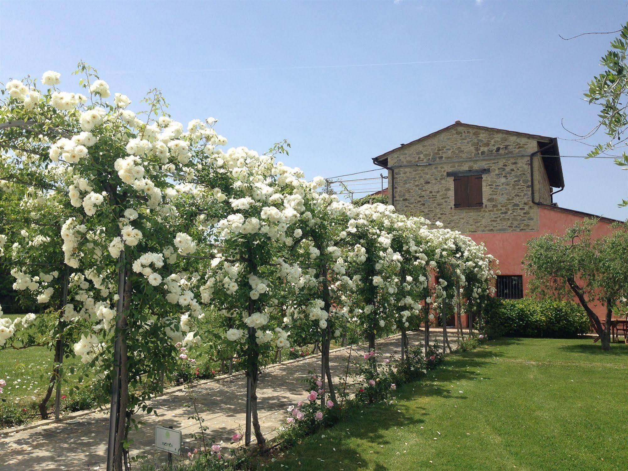 Agriturismo Casale Le Selvette Ripa Exteriör bild